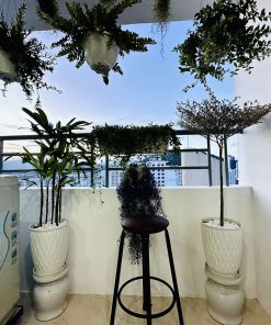 Căn 30 Mường Thanh Viễn Triều Tầng 20 Tòa OC1A