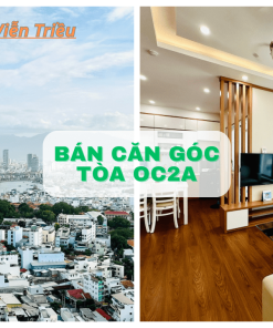 Căn hộ góc 02 Mường Thanh Viễn Triều Tầng 32 Tòa OC2A