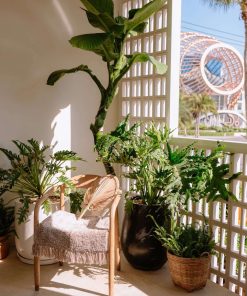 La Tiên villa Nha Trang ⭐️ Biệt thự biển cao cấp【Giá CĐT, Giỏ Hàng VIP 2025】® La Tiên villa Nha Trang ⭐️ Biệt thự biển cao cấp【Giá CĐT, Giỏ Hàng VIP 2025】®